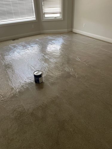 protected-carpets